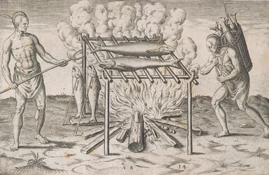 Cuisson du poisson, planche XIII, de 